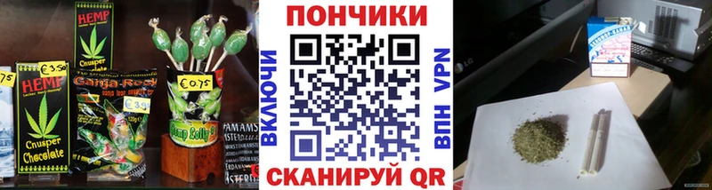 Canna-Cookies марихуана  Купить закладки  Калининец 