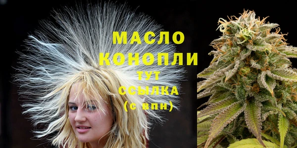 спиды Елизово