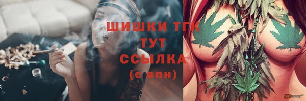 спиды Елизово
