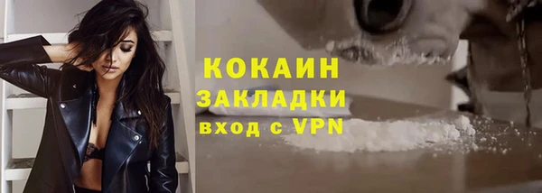 спиды Елизово