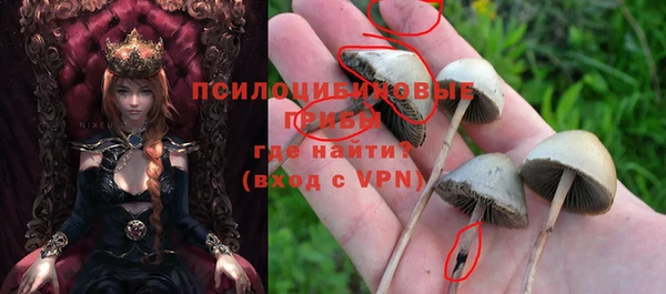 кокаин Ельня