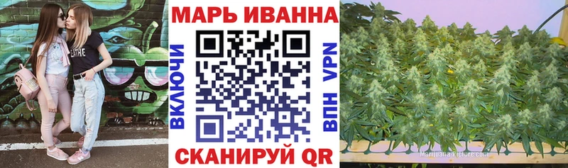Канабис семена  Купить закладки  Калининец 